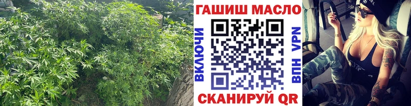Купить  Вытегра  ТГК Wax 