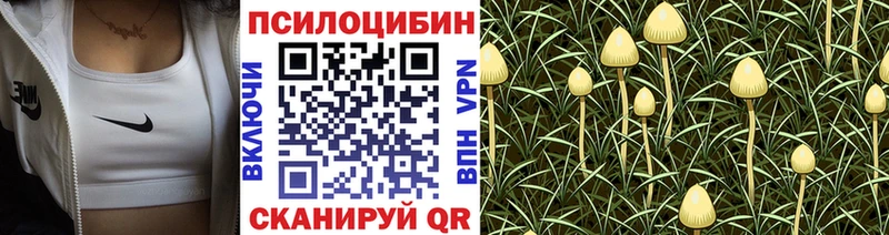 Галлюциногенные грибы GOLDEN TEACHER  Купить закладки  Вытегра 